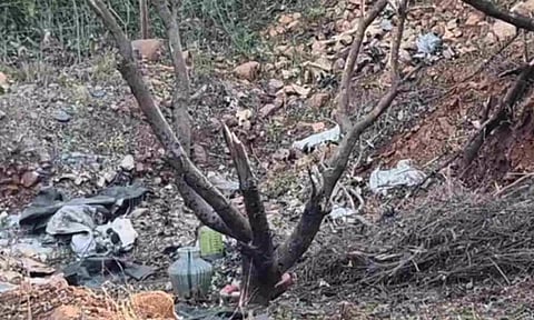 Visual from the spot (Daily Thanthi)