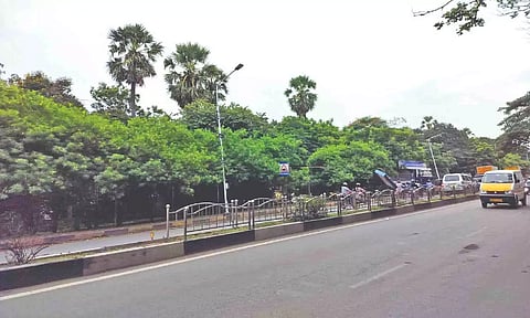  A median park in city roads