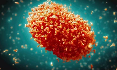 Representative Image (IANS)