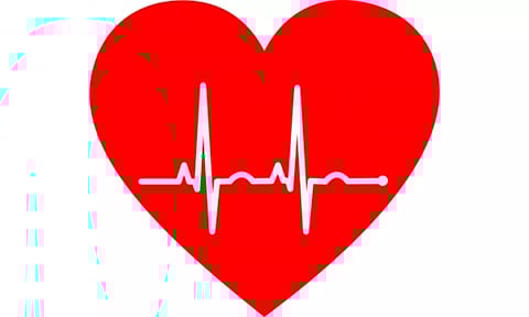 Representative Image (IANS)