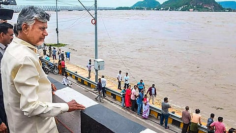 Andhra Pradesh Chief Minister N Chandrababu Naidu (PTI)