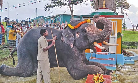 An elephant pays obeisance to Lord Vinayagar at Mudumalai Tiger Reserve