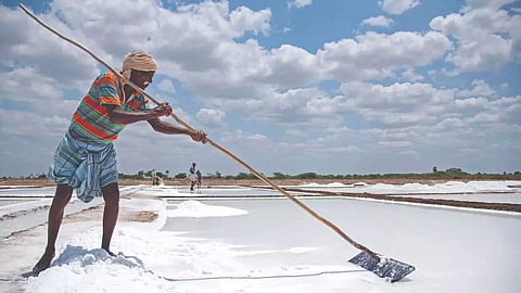 salt pan worker 