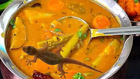 Representative image of Lizard in food 