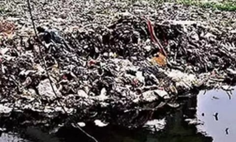 Representative Image (IANS)