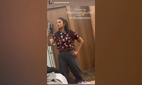 Priyanka Chopra Instagram story (IANS)