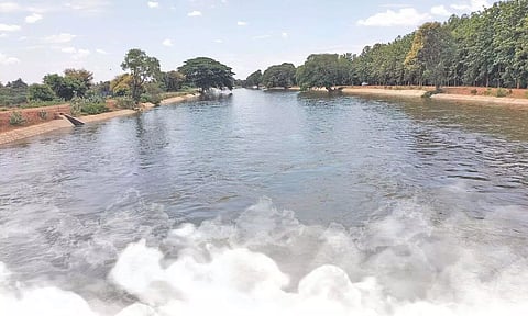 Grand Anicut Canal in full flow