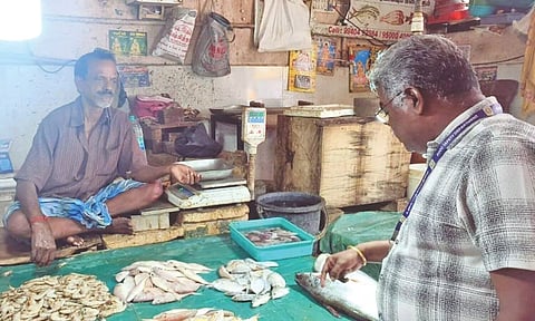 Kancheepuram food safety officials inspecting the fish market on Saturday
