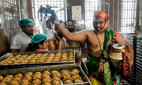 A priest performs the purification ritual 'Shanti Homam Panchagavya Prokshana' to undo the alleged desecrations that occurred at Sri Venkateswara Swamy Temple during YSRCP government (PTI)