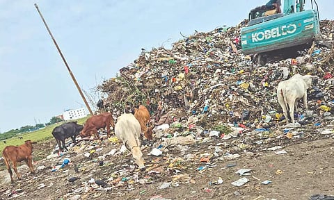 Residents urge authorities to clear garbage dumped on Tiruneermalai lake bund