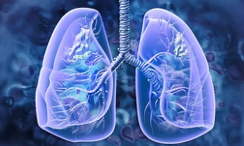 Representative Image (IANS)