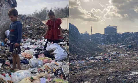 Representative image