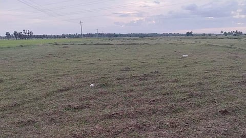 Parched land in Thanjavur