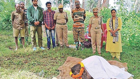 Forest department officials pay their last respects to the calf in Mudumalai camp on Thursday
