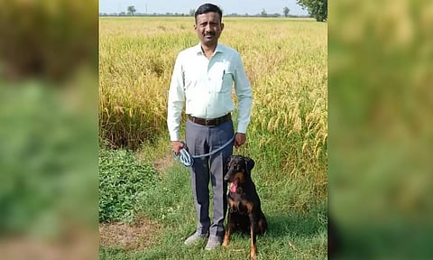 Police dog helps recover Rs 1.07 cr stolen from Gujarat farmer's house