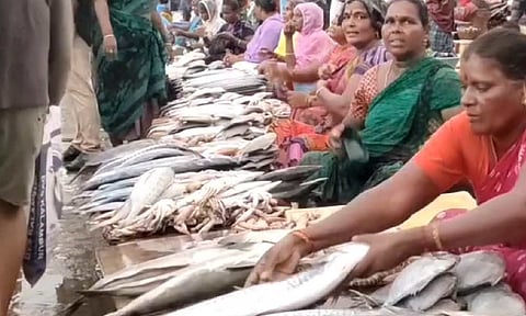 Still from Kasimedu fish market in Chennai