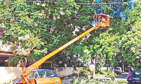Civic workers prune branches at Madhavaram