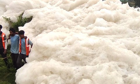 Toxic foam affecting agricultural lands along Thenpennai river (Thanthi TV)