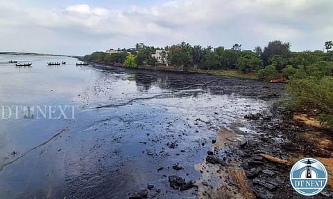 Ennore oil spill: TNPCB seeks Rs 73 crore compensation from CPCL