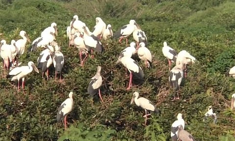 Representative image