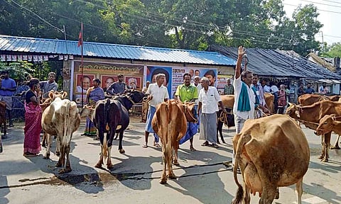 People with cattle stage protest in Thanjavur on Wednesday