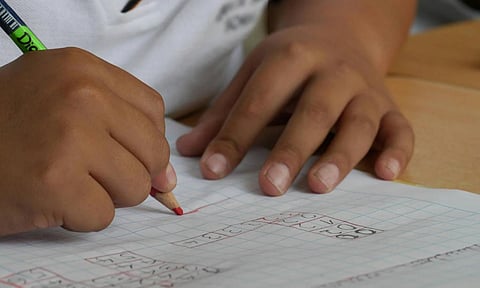 Representative Image (Pexels)