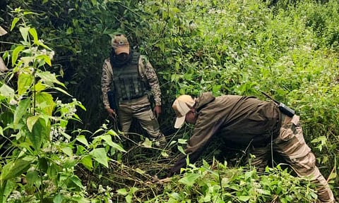 Security personnel during a search operation (PTI) 