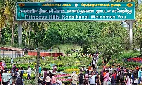 Representative Image (Daily Thanthi) 