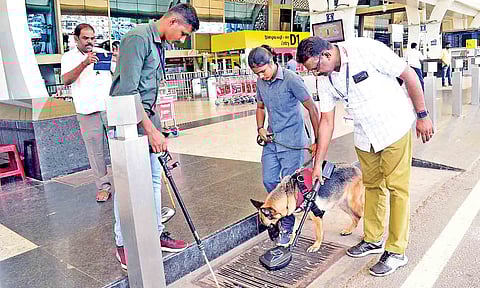 File picture of a sniffer dog in service at Coimbatore International Airport following recent bomb threat 