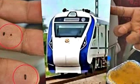 Insect found in food served at Vande Bharat express train 