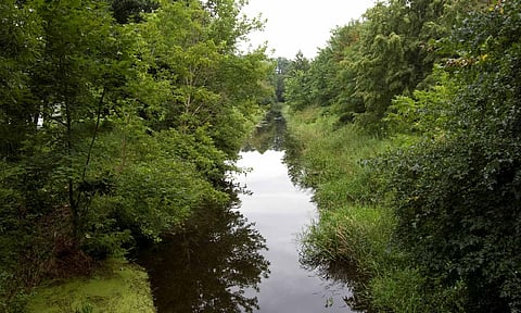 Representative Image (Reuters) 