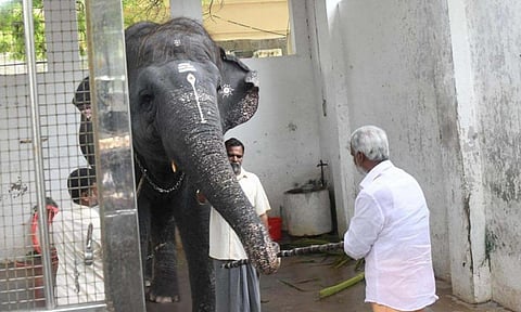 Sekarbabu in TIruchendur