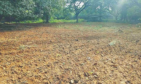 Vandalur zoo reuses desilted soil to improve animal enclosures