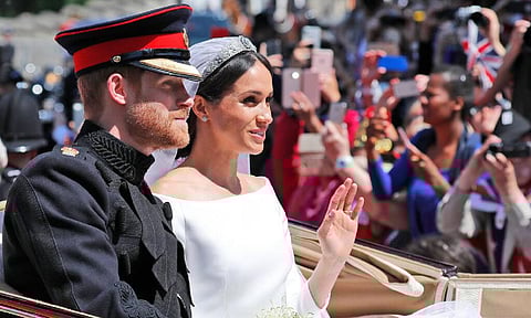 Where beards grow, strong feelings follow