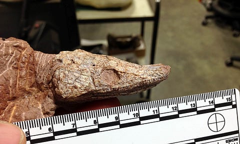 Representative image