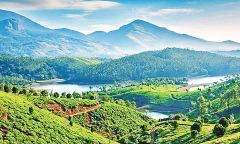 Tamil Nadu loses 14 sqkm of green cover in 3 years: Report