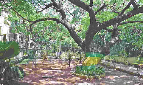File photo of a Corporation park in Nungambakkam