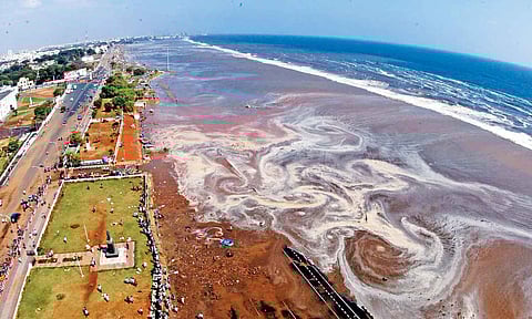 2004 tsunami (PTI file photo) 