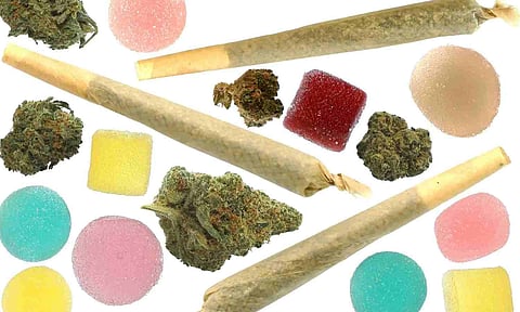 Representative Image (The New York Times)