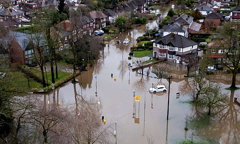 In 2025, let's make it game on – not game over – for our precious natural world