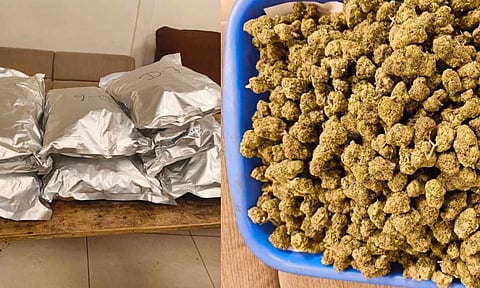 Seized hydroponic ganja