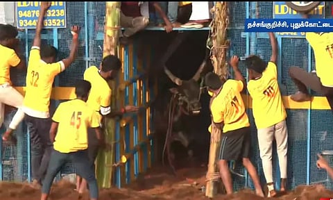 Visual from the spot