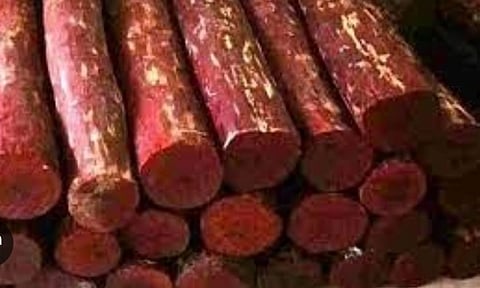 Seized 5.2 tons of red sanders worth Rs. 5.5 crore