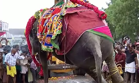 The last rites of the elephant Gandhimathi were performed and taken to Thamaraikulam for the devotees to pay homage 