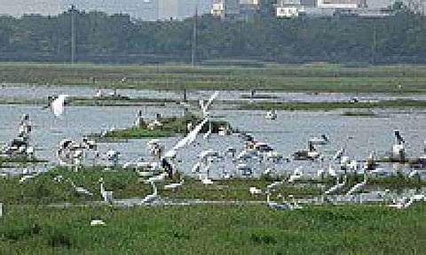 Representative Image (IANS)