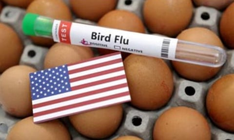 Representative image