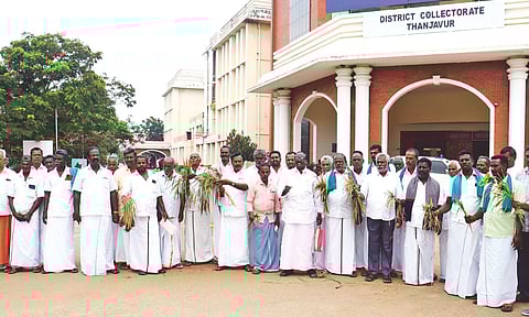 Farmers with damaged crops at Thanjavur Collectorate