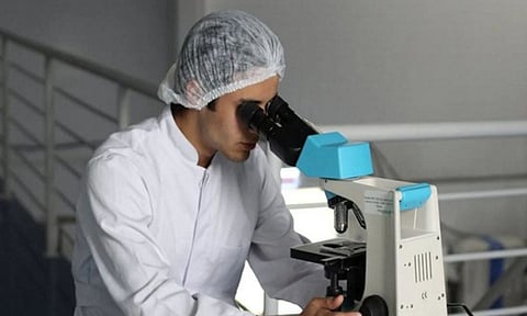 Representative Image (ANI)