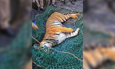 Representative Image (PTI)