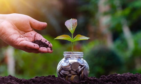 Representative Image (IANS)